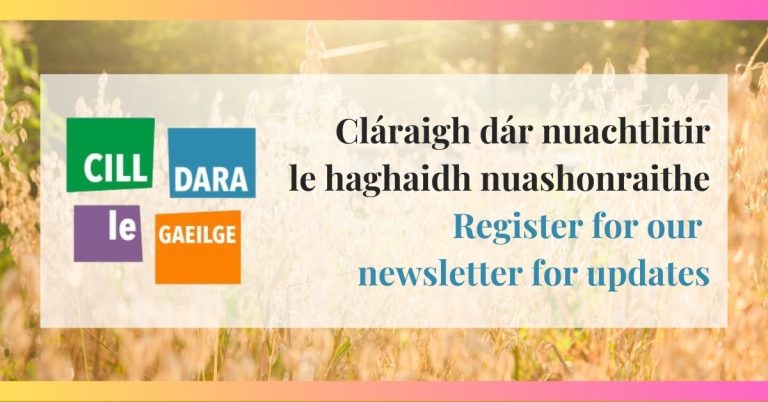 Nuachtlitir Chill Dara le Gaeilge - Lúnasa 2024 (1200 x 628 px)