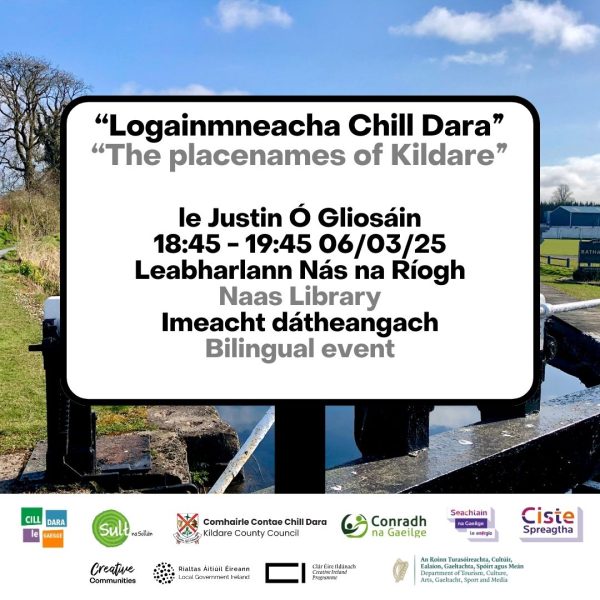 18 - Logainmneacha Chill Dara