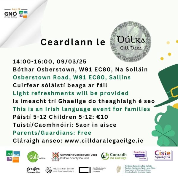 26 - Ceardlann le Dúlra Chill Dara
