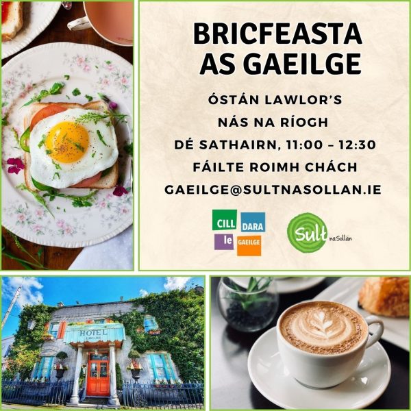41 - Bricfeasta as Gaeilge
