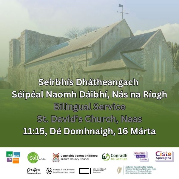 44 - Seirbhís Dhátheangach