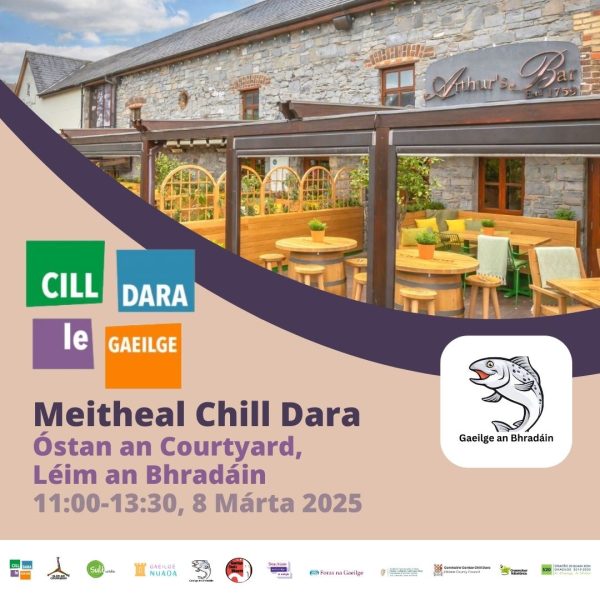 Meitheal Chill Dara 2025