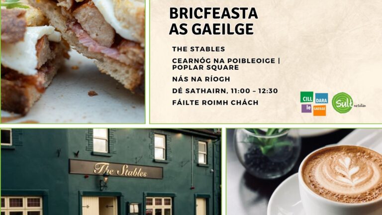 Bricfeasta as Gaeilge - Lawlors (Presentation)