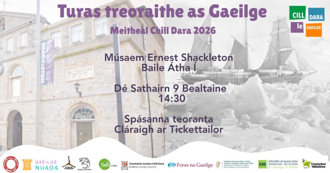 Suíomh gréasáin (2)