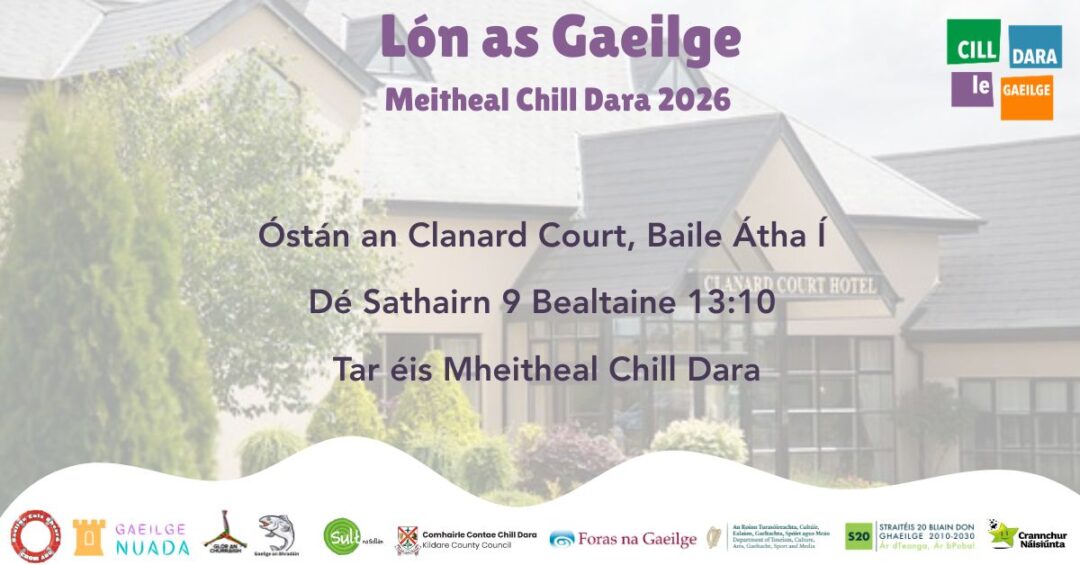 Suíomh gréasáin (3)